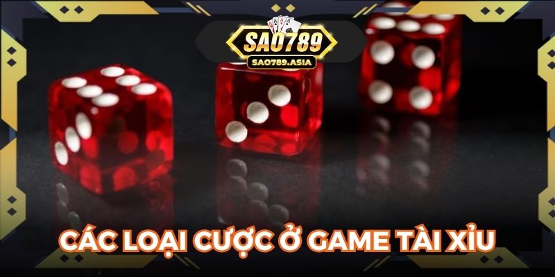 Các loại cược ở game tài xỉu