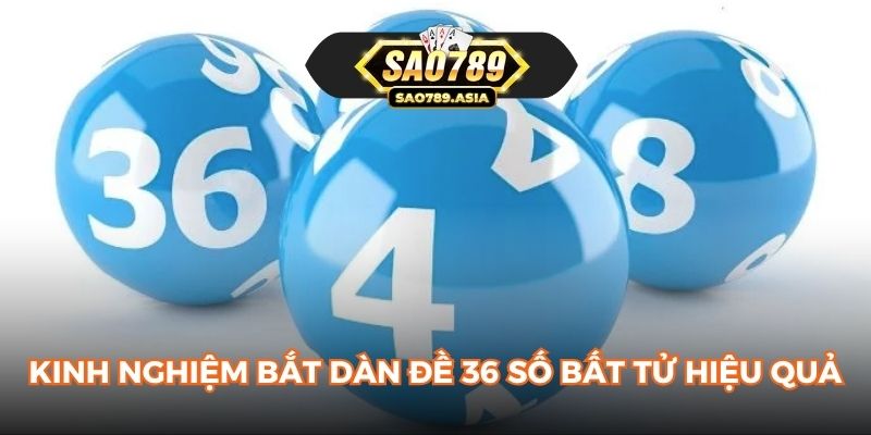 Kinh nghiệm bắt dàn đề 36 số bất tử hiệu quả